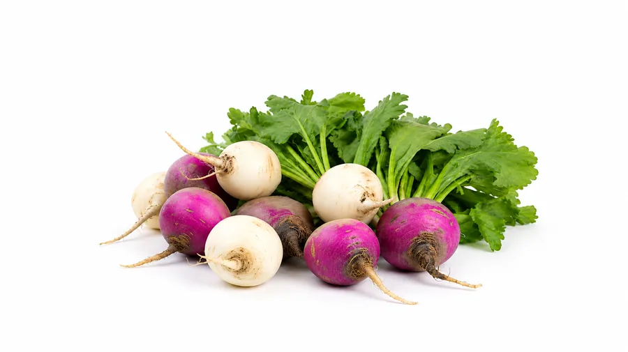 Shalgam / Turnip